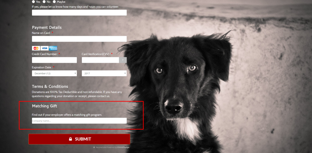 A Click & Pledge form integrated with Double The Donation. A Click & Pledge form integrated with Double The Donation.