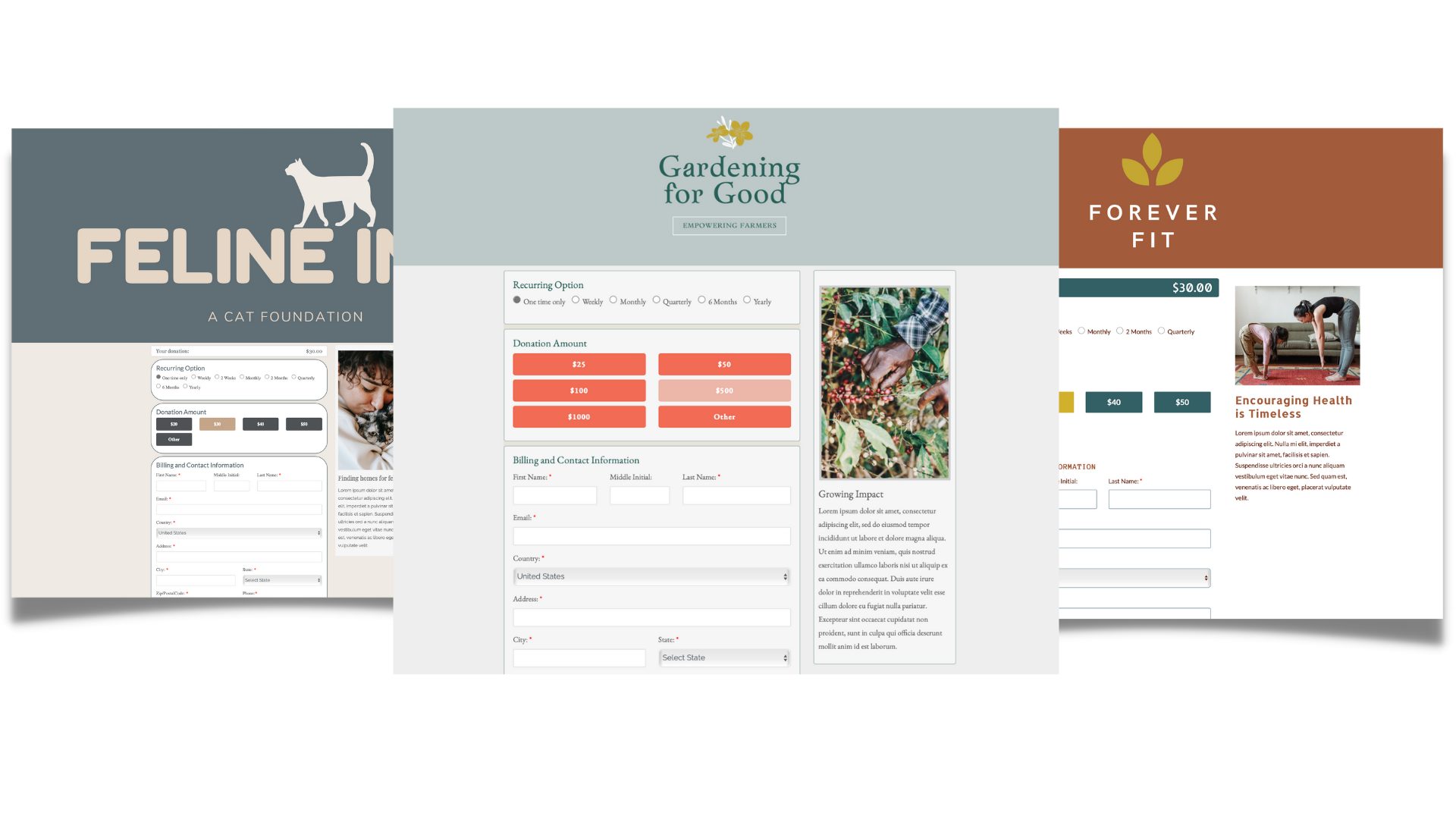 Customize donation forms for nonprofits