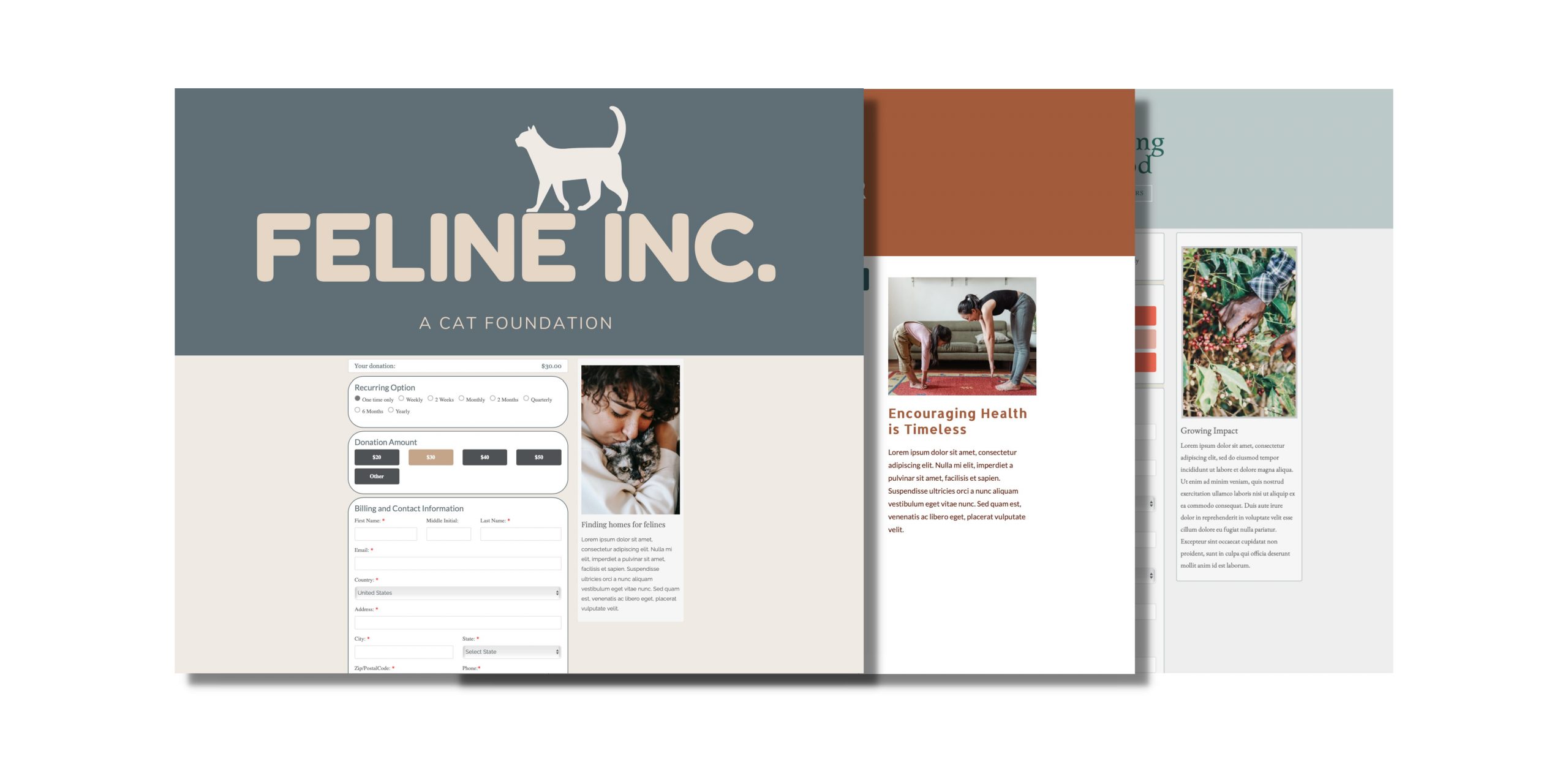 Create branded online donations forms with Click & Pledge