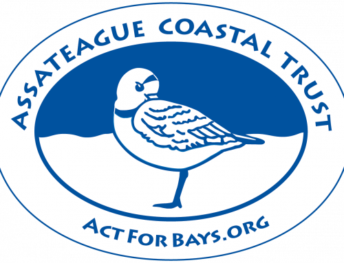 Case Study: Assateague Coastal Trust – Campaign and Payment Forms