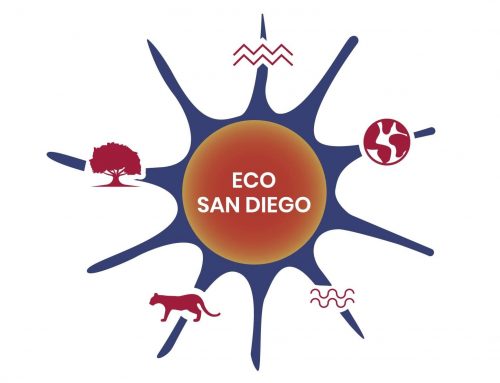 Case Study: The Environmental Center of San Diego – Fundraising as a Small Nonprofit